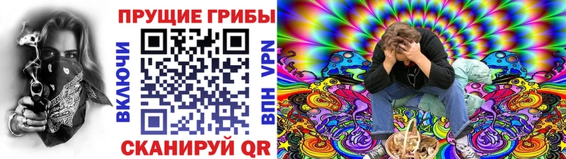 Псилоцибиновые грибы мицелий  mega рабочий сайт  Слободской  как найти закладки 